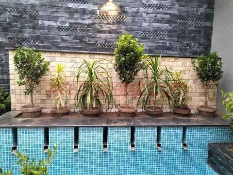 11 Marla House Eden valley Faisalabad