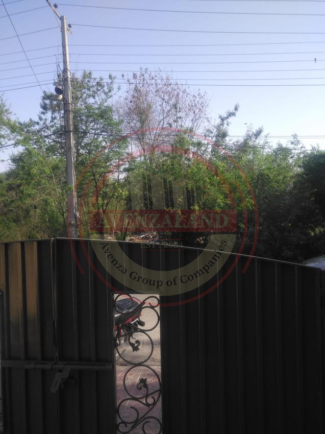 10 Marla House For Rent In Punjab Housing Scheme  Lahore.